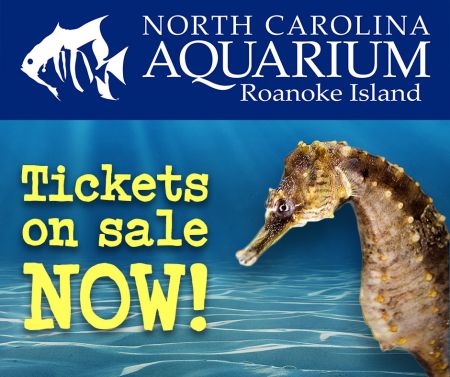 North Carolina Aquarium on Roanoke Island, NC Aquarium Reopens