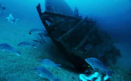 Graveyard of the Atlantic Museum, Sea Dawgs Lecture Series: Shipwreck Photography