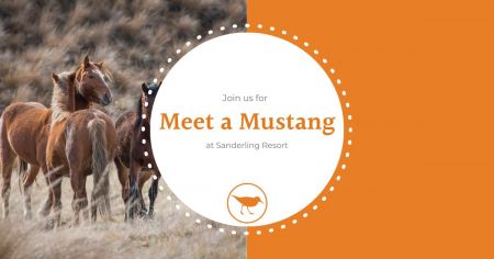 Sanderling Resort, Meet a Mustang