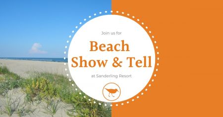 Sanderling Resort, Beach Show & Tell Exploration