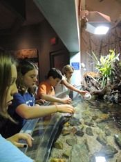 North Carolina Aquarium on Roanoke Island, Winter Day Camp