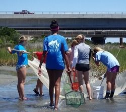 North Carolina Aquarium on Roanoke Island, Wetlands Walk