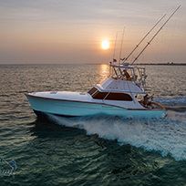 Hatteras Marlin Club Tournament, Hatteras Marlin Club Blue Marlin Release Tournament