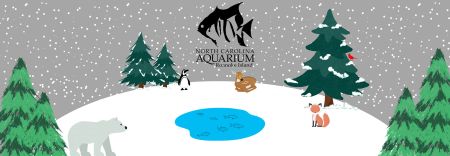 North Carolina Aquarium on Roanoke Island, Winter Carnival
