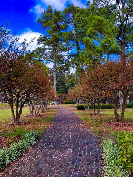 Elizabethan Gardens, Homeschool Mornings: Winter Hibernation