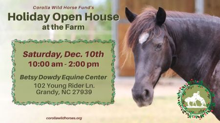 Corolla Wild Horse Fund, Holiday Open House at the Farm