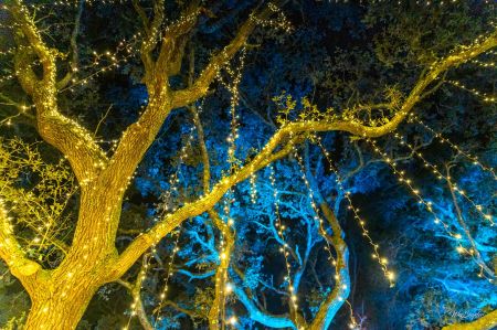 Elizabethan Gardens, Virginia Dare Night