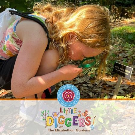 Elizabethan Gardens, Little Diggers