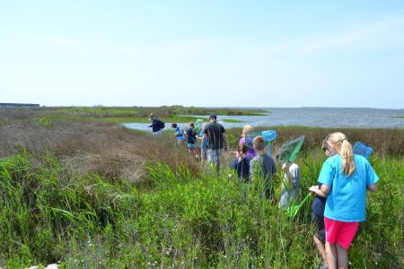 North Carolina Aquarium on Roanoke Island, Wetlands Walk