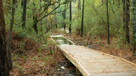 UNC Coastal Studies Institute, Roanoke Island Trails Project Kick-Off Meeting