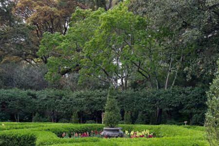 Elizabethan Gardens, Arbor Day Plant Sale