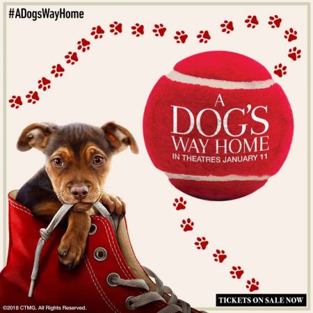 R/C Kill Devil Hills Movies 10, Outer Banks SPCA at the Theater for A Dog's Way Home