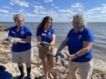 North Carolina Aquarium on Roanoke Island, World Sea Turtle Day