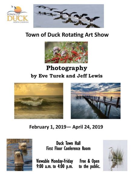 Duck Town Park, Photography by Eve Turek and Jeff Lewis Rotating Art Show