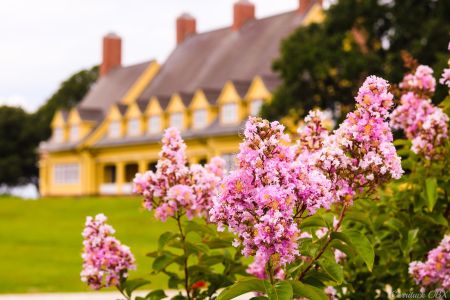 Whalehead, Whalehead Centennial Anniversary Events