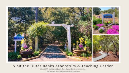 Dare Master Gardener Association, Garden Gathering