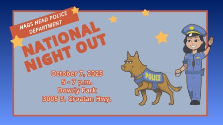 Dowdy Park, National Night Out