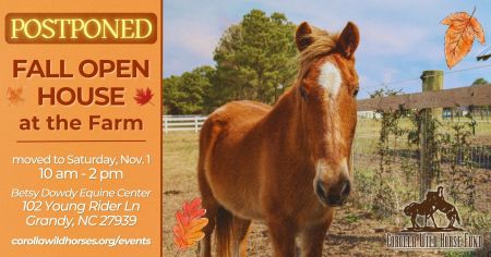 Corolla Wild Horse Fund, Fall Open House at the Farm