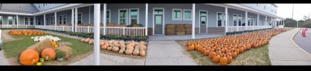 Nags Head Elementary School, Family Movie Night