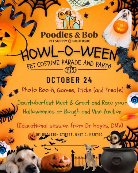 Halloween Island, Howl-O-Ween