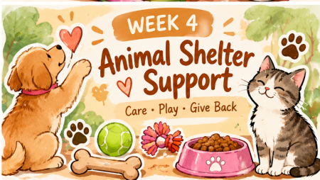 Yanna's Field Trips Co., October Gives Back: Animal Shelter Support Week