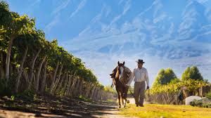 TRiO Restaurant & Market, Wine Tasting: The Royal Wine Houses of Argentina