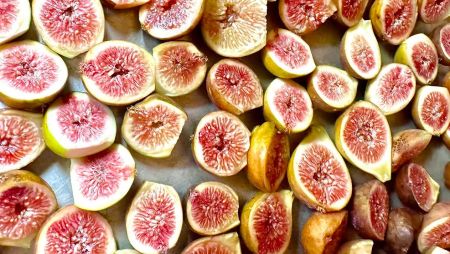 Ocracoke Preservation Society, 11th Annual Ocracoke Fig Festival