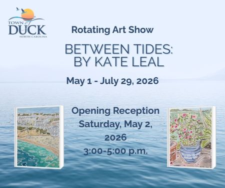 Duck Town Park, Rotating Art Shows Opening Reception: Kate Leal