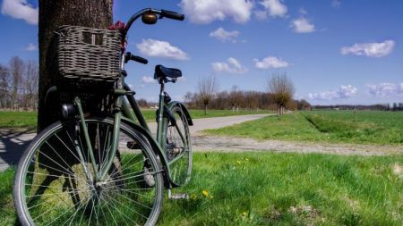 Bicycle resting against post in a rural field 