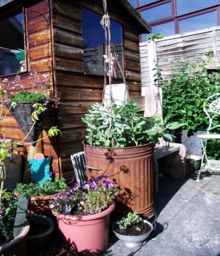 Dare Master Gardener Association, Summer School Programs: Container Gardening