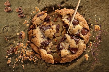Graveyard of the Atlantic Museum, Cookie Archaeology