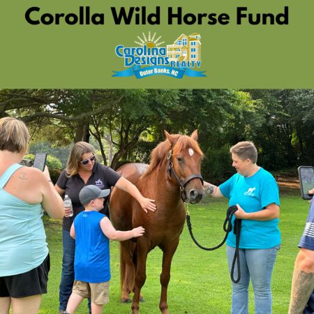 Duck Town Park, Corolla Wild Horse Fund