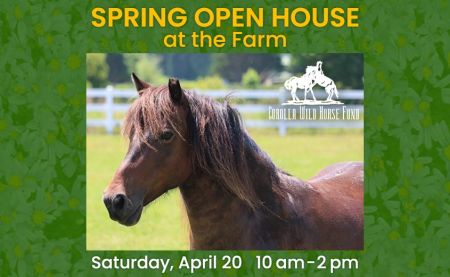 Corolla Wild Horse Fund, Spring Open House