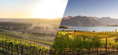 NouVines, Discover Down Under - Wine Tasting