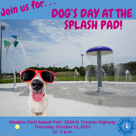 OBX Events, Dog Days at the Splash Pad