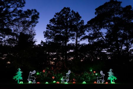 Twiddy & Company Realtors, Christmas Village in Corolla