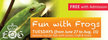 Elizabethan Gardens, Fun With Frogs