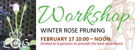 Elizabethan Gardens, Winter Rose Pruning Workshop