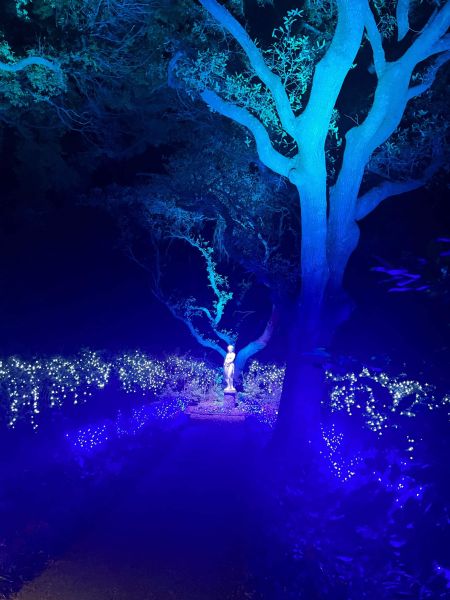 Elizabethan Gardens, Virginia Dare Night