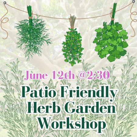 Elizabethan Gardens, Herb Garden Workshop
