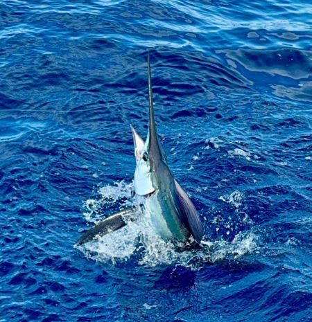Community Care Clinic of Dare, 5th Annual Billfish Tournament