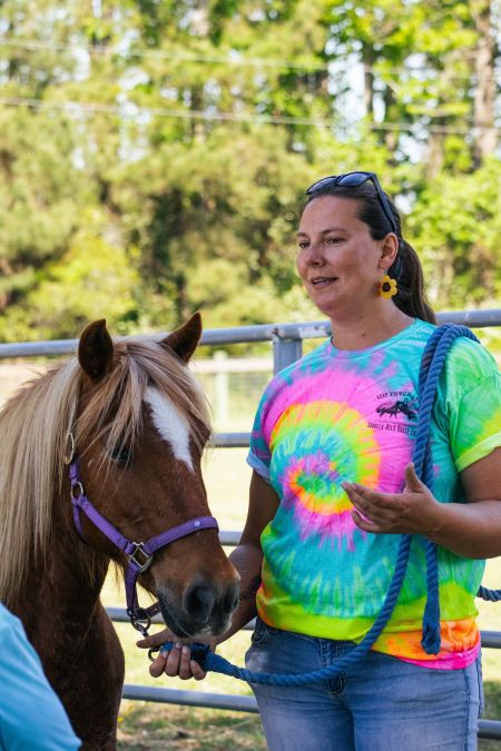 Corolla Wild Horse Fund, Meet a Banker Pony at Island Farm