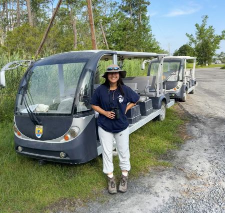 Coastal North Carolina National Wildlife Refuges, Open-air Tram Tour - Alligator River National Wildlife Refuge