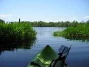 North Carolina Aquarium on Roanoke Island, Paddling Around Roanoke Island