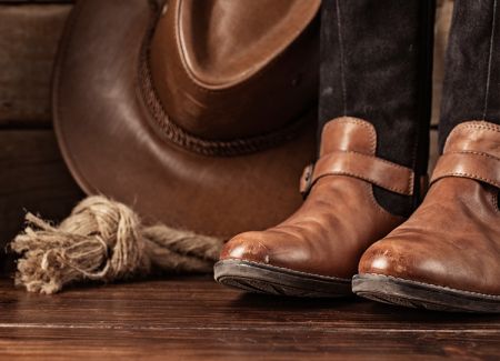 Buffalo City Distillery, Line Dancing