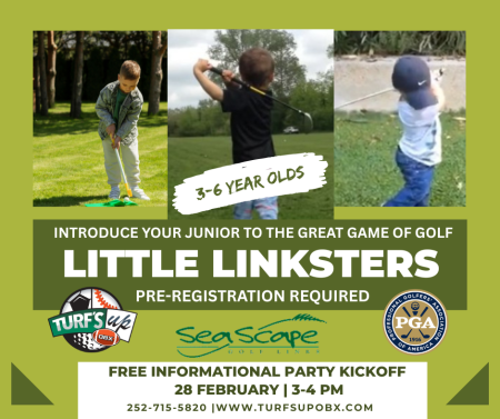 Little Linksters