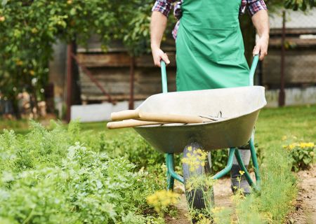 Dare County Library, Master Gardeners Library Series