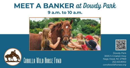 Corolla Wild Horse Fund, Meet a Banker Horse in Nags Head