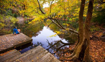 OBX Events, Guided Hike at Nags Head Woods