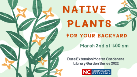 Dare Master Gardener Association, Library Garden Series 2022: Native Plants for your Backyard (New)